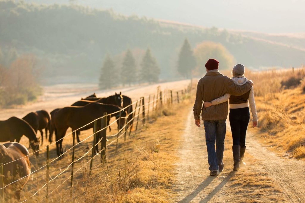 Image of a couple walking in the country next to horses. You can get help working through your relationship struggles with a couples therapist in Sherwood Park, AB T8H 1J1. With Edmonton counselling you can strengthen your relationship. Get started in marriage counselling and couples therapy in Sherwood Park, AB T8H 1J1. Call today!
